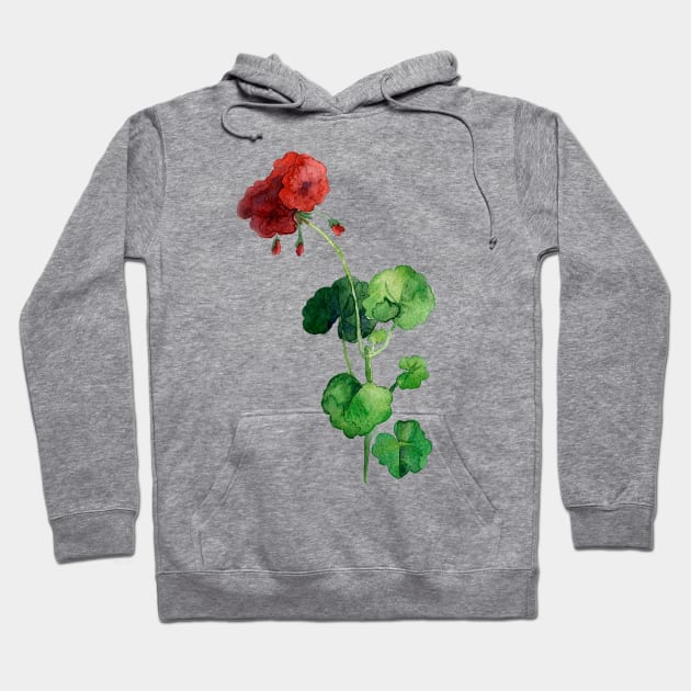 Geraniums Hoodie by Olga Berlet